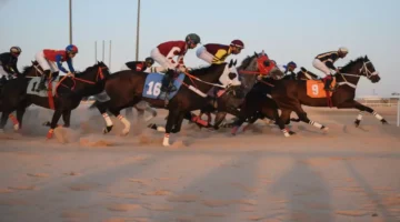 بطل الأحساء.. 9 فرسان يحصدون جوائز النسخة الـ 12 في ملحمة الفروسية الكبرى